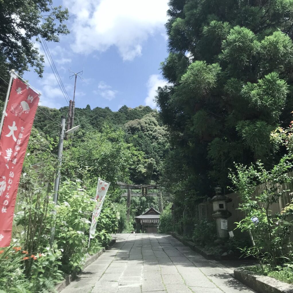 大豊神社の参道