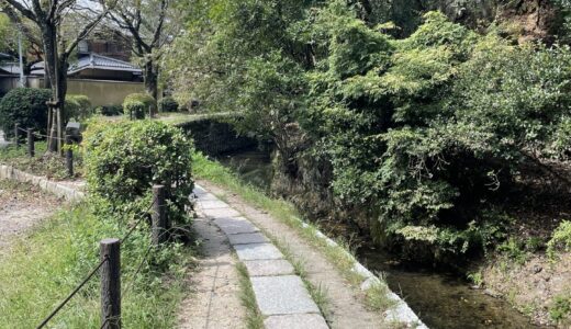 京都「哲学の道」見どころ観光コースパーフェクトガイド！～京都府民が桜や紅葉スポット、カフェなどを地図付きで紹介～