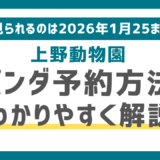 上野動物園パンダの観覧予約方法(抽選申込方法)をわかりやすく解説!予約なしでもOKな期間あり|最終は1月25日まで