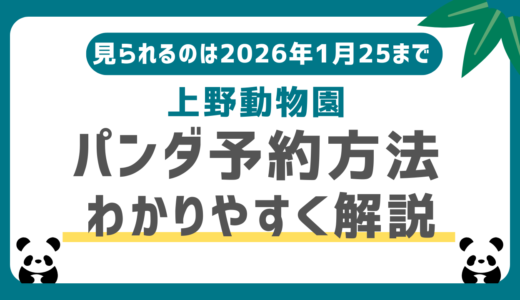 上野動物園パンダの観覧予約方法（抽選申込方法）をわかりやすく解説！予約なしでもOKな期間あり｜最終は1月25日まで