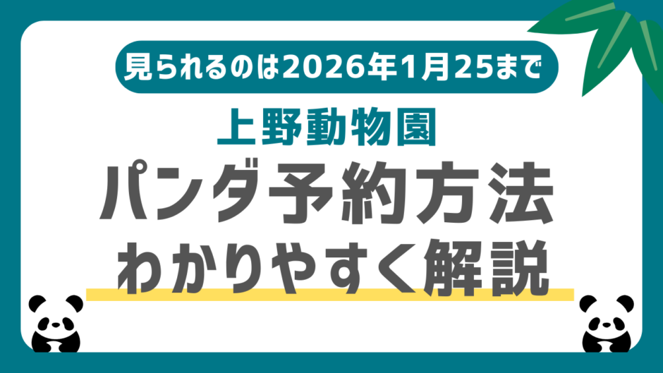 上野動物園パンダの観覧予約方法（抽選申込方法）をわかりやすく解説！予約なしでもOKな期間あり｜最終は1月25日まで