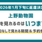 上野動物園のパンダはいつまで見れる?最終は1月25日まで|いなくなる前に見る方法や事前予約制についてまとめました