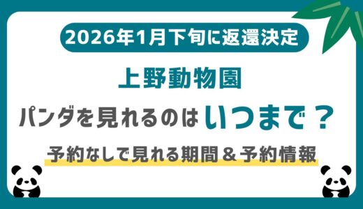 上野動物園パンダの観覧予約方法（抽選申込方法）をわかりやすく解説！予約なしでもOKな期間あり｜最終は1月25日まで