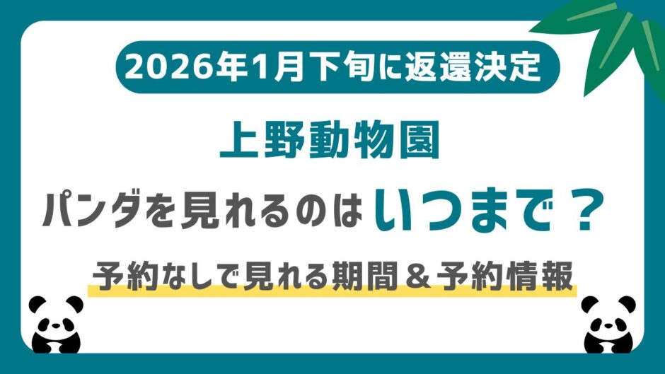 上野動物園のパンダはいつまで見れる？最終は1月25日まで｜いなくなる前に見る方法や事前予約制についてまとめました